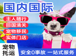 运城国际宠物托运 【国